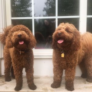 Meet your Posher, Michelle